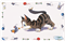 TRIXIE Napfunterlage Comic Katze - 44 cm x 28 cm 