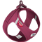 curli Clasp Vest Geschirr Air-Mesh ruby - 3XS (26 – 30 cm) 