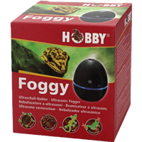 HOBBY Foggy