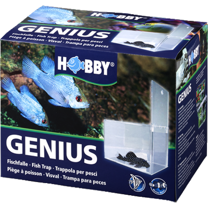 HOBBY Genius - Fischfalle - 21 x 13 x 15 cm 