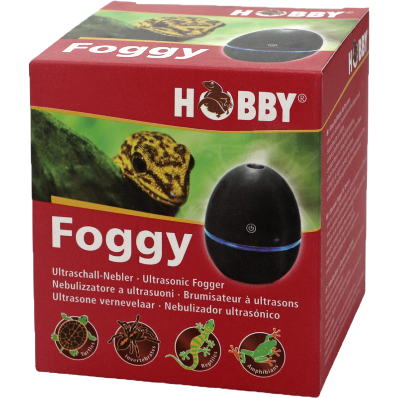HOBBY Foggy 