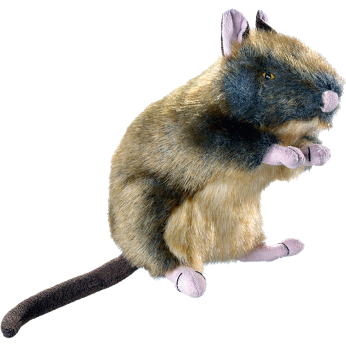 HUNTER Wildlife - Ratte 