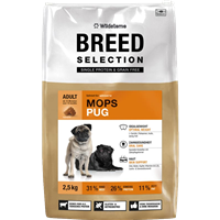 Wildsterne Breed Selection - Mops